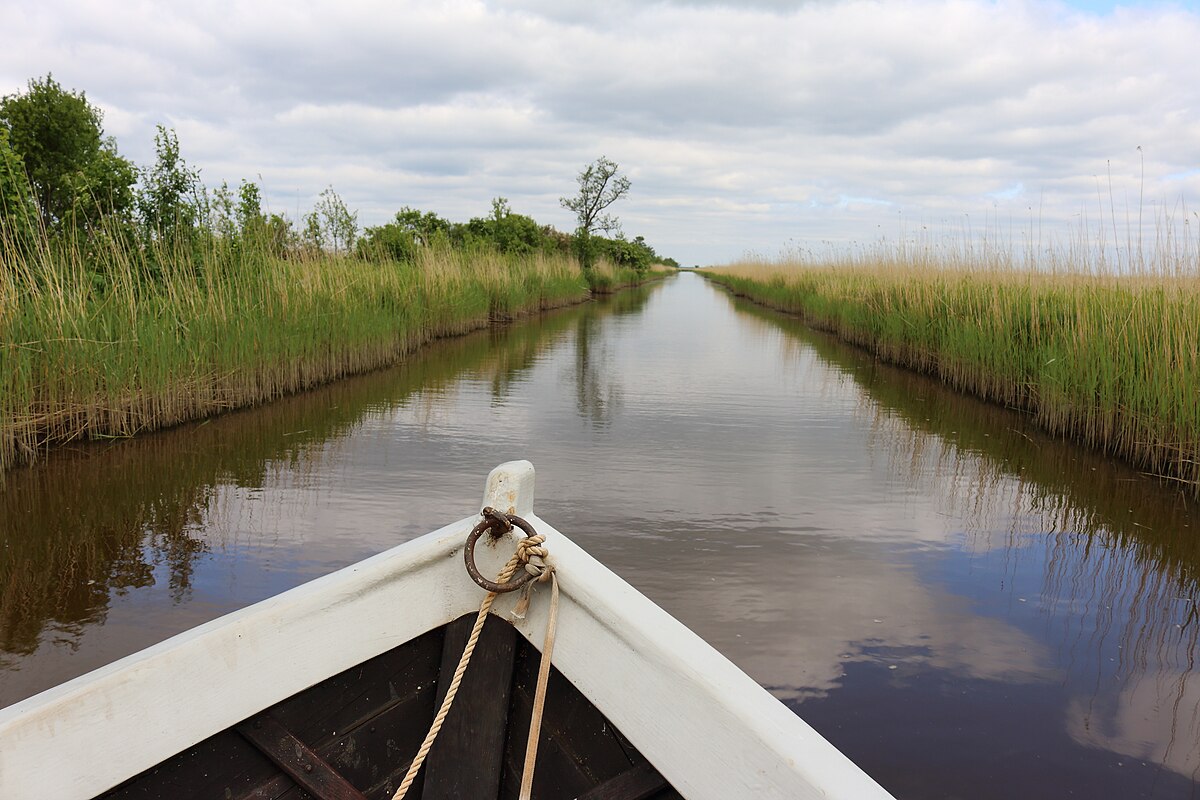 TERVE VALD LÄÄNERANNA VOLIKOGU LIIKME AUKOODEKS, Silvia Lotman | LÄÄNERANNA | 191 HÄÄLT | VOLIKOGU ESIMEES (KANDIDAAT), ANDRES HIRVELA | Koonga | 113 HÄÄLT | VOLIKOGU MAJANDUSKOMISJONI ESIMEES (KANDIDAAT), Triin Raave | VIRTSU | VOLIKOGU LIIGE | 112 HÄÄLT | SOTSIAAL- JA KULTUURIKOMISJONI ASEESIMEES (KANDIDAAT), Pille Kaisel | METSKÜLA | VOLIKOGU LIIGE | 85 HÄÄLT | Haridus- ja noorsootöökomisjoni esimees (kandidaat), HEGERT VESIK | Lõpe | VOLIKOGU LIIGE | 65 HÄÄLT, HENRIK RAAVE | VIRTSU | VOLIKOGU LIIGE | 64 HÄÄLT | ABIVALLAVANEM (kandidaat), TÕNIS VOKK | Kõmsi | VOLIKOGU LIIGE | 57 HÄÄLT, Jüri Mõniste | Virtsu | 56 HÄÄLT | VOLIKOGU ESIMENE ASENDUSLIIGE, ANTI KESAMAA | VIRTSU | 43 HÄÄLT | VOLIKOGU TEINE ASENDUSLIIGE, SIRET KESKÜLA | Lihula, Kalle Kõllamaa | Tuudi, ROMMY TREUMANN | IRTA, LIISI LAOS | Kirbla, Monika Hale | VARBLA | MTÜ TERVE LÄÄNERANNA JUHATUSE LIIGE, Rait Maruste | Varbla, Timo Roomets | Virtsu, Mart Ulm | Lääneranna, Simo Linno | Lääneranna, PEETER HERMIK | HANILA, Gerda Kordemets |  Paatsalu, TRIIN NIGUL | VARBLA, ILMAR TARVIS | Paadrema, Anu-Lii Jürman | Lääneranna